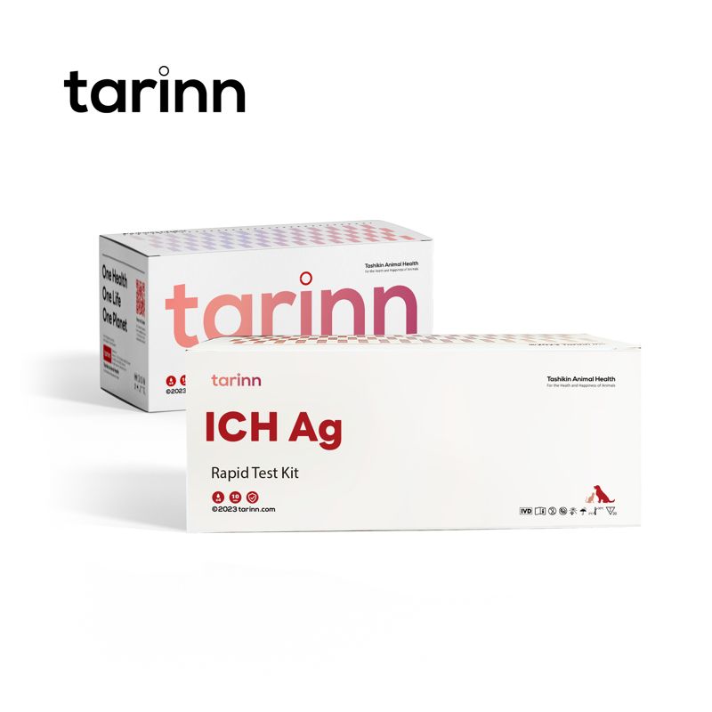 CAV Ag Test Kits