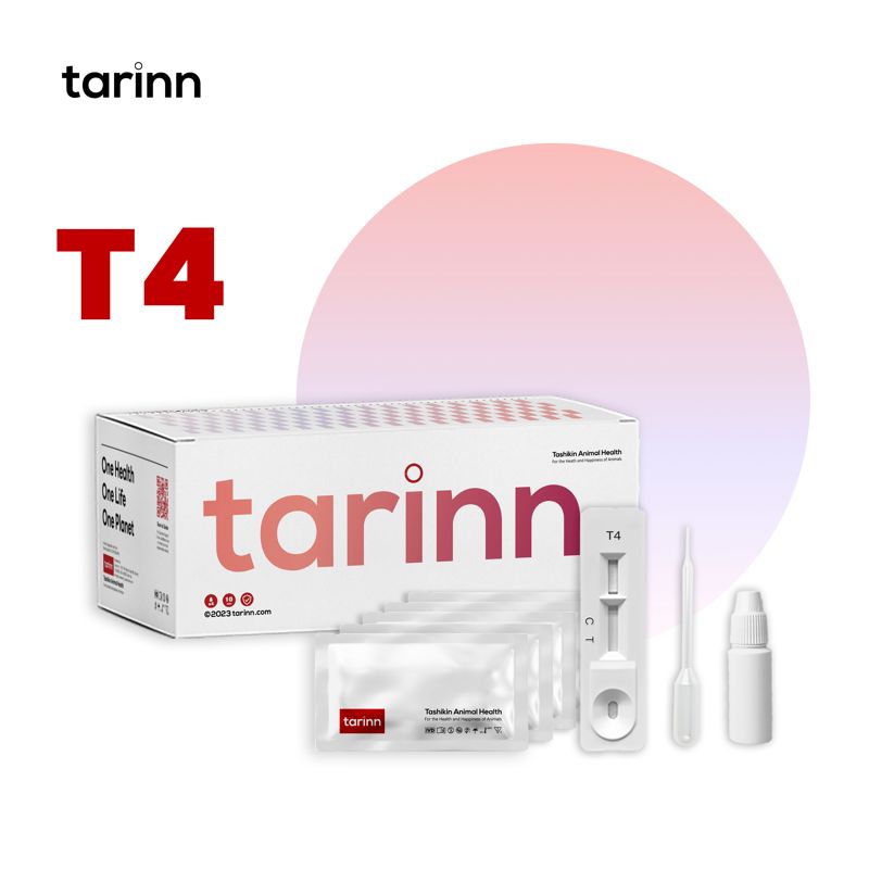 T4 Test Kits